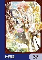 引き籠り錬金術師は引き籠れない 〜お家でのんびりしたい奮闘記〜【分冊版】 37