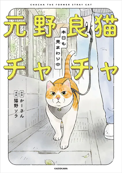 元野良猫チャチャ 本日も見まわり中