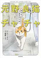 元野良猫チャチャ 本日も見まわり中
