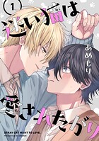 迷い猫は愛されたがり 第1話