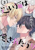 迷い猫は愛されたがり 第3話