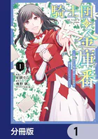 騎士団の金庫番 〜元経理ОLの私、騎士団のお財布を握ることになりました〜【分冊版】（単話）