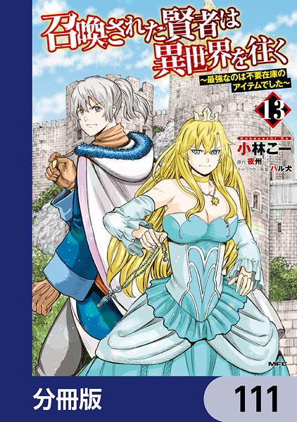 召喚された賢者は異世界を往く 〜最強なのは不要在庫のアイテムでした〜【分冊版】 111