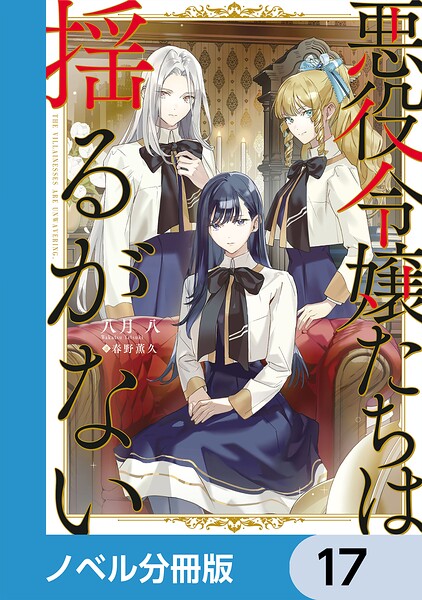 悪役令嬢たちは揺るがない【ノベル分冊版】 17