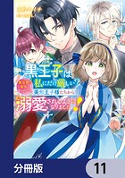 黒王子は私にだけ厳しい？【分冊版】 11