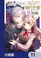 婚約破棄までの10日間【分冊版】 11