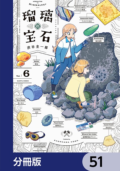 瑠璃の宝石【分冊版】 51