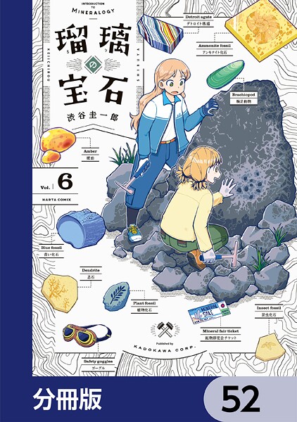 瑠璃の宝石【分冊版】 52