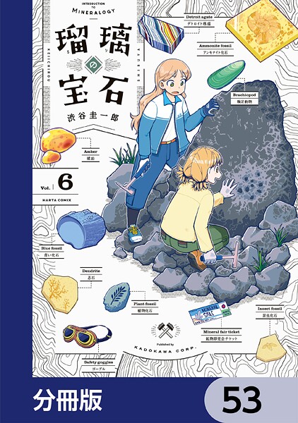 瑠璃の宝石【分冊版】 53