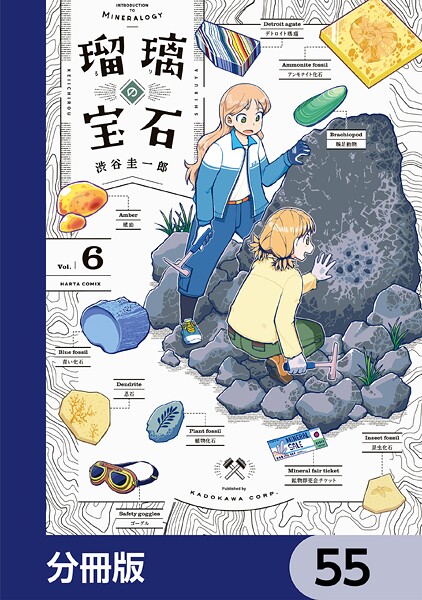 瑠璃の宝石【分冊版】 55