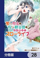 奪われ聖女と呪われ騎士団の聖域引き篭もりスローライフ【分冊版】 28