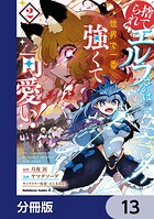 捨てられエルフさんは世界で一番強くて可愛い！【分冊版】 13