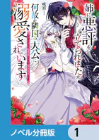 姉に悪評を立てられましたが、何故か隣国の大公に溺愛されています【ノベル分冊版】