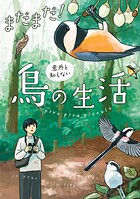 意外と知らない鳥の生活 2