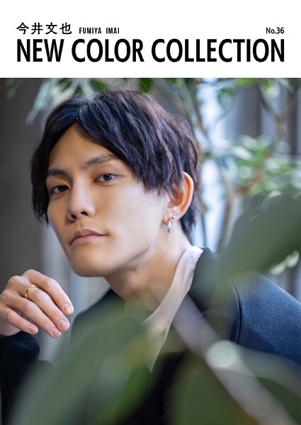 今井文也 NEW COLOR COLLECTION No.36パッケージ写真