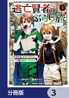 逃亡賢者(候補)のぶらり旅 〜召喚されましたが、逃げ出して安寧の地探しを楽しみます〜【分冊版】 3