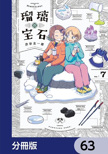 瑠璃の宝石【分冊版】 63