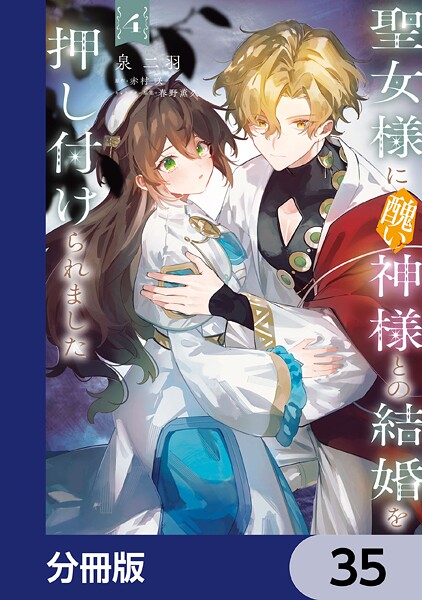 聖女様に醜い神様との結婚を押し付けられました【分冊版】 35