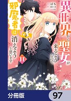 異世界から聖女が来るようなので、邪魔者は消えようと思います【分冊版】 97