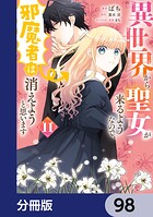 異世界から聖女が来るようなので、邪魔者は消えようと思います【分冊版】 98
