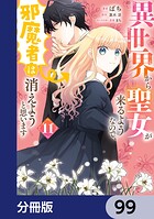 異世界から聖女が来るようなので、邪魔者は消えようと思います【分冊版】 99