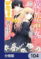 異世界から聖女が来るようなので、邪魔者は消えようと思います【分冊版】 104