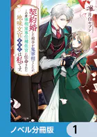 契約婚した相手が鬼宰相でしたが、この度宰相室専任補佐官に任命された地味文官（変装中）は私です。【ノベル分冊版】