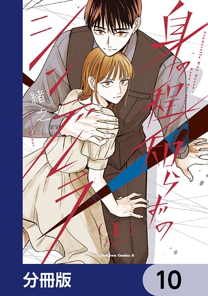 身の程知らずのシンデレラ【分冊版】 10