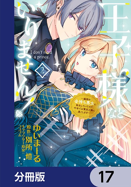 王子様などいりません！【分冊版】 17