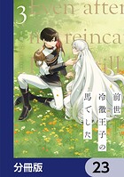 前世冷徹王子の馬でした 〜人になっても貴方を愛していいですか？〜【分冊版】 23