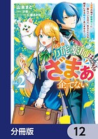 万能薬師はざまぁを企てない 〜辺境の地で新薬作りに励んでいるので、あなたたちを相手にする暇などありません！〜【分冊版】 12