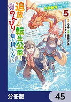 追放された転生公爵は、辺境でのんびりと畑を耕したかった 〜来るなというのに領民が沢山来るから内政無双をすることに〜【分冊版】 45