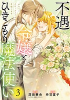 不遇令嬢とひきこもり魔法使い ふたりでスローライフを目指します 3