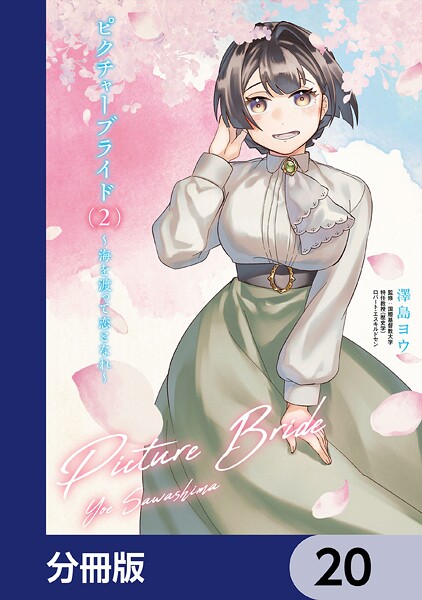 ピクチャーブライド【分冊版】 20