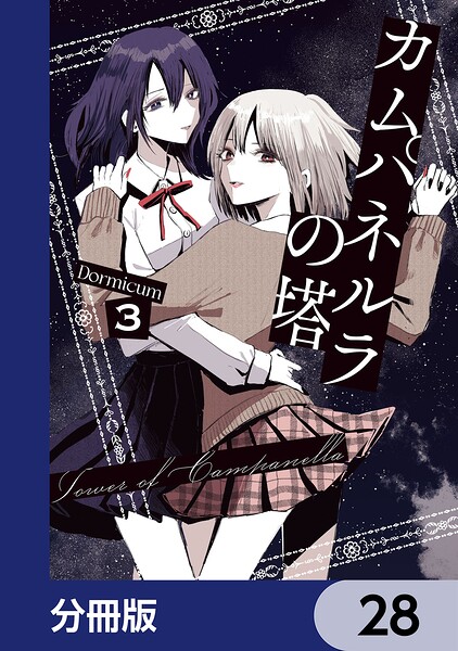 カムパネルラの塔【分冊版】 28