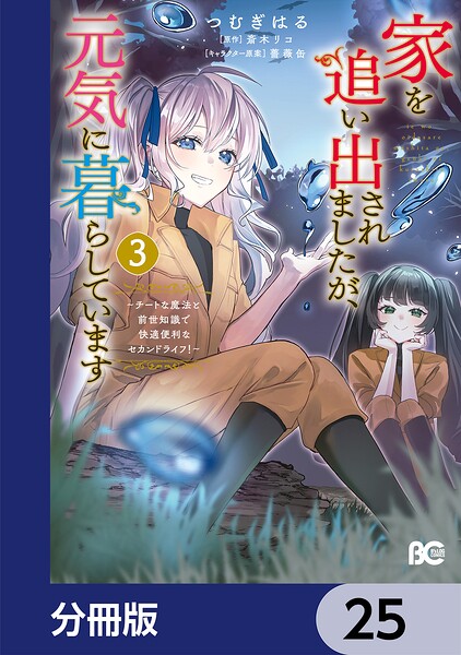 家を追い出されましたが、元気に暮らしています 〜チートな魔法と前世知識で快適便利なセカンドライフ！〜【分冊版】 25