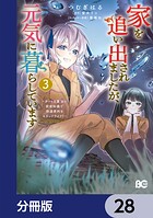 家を追い出されましたが、元気に暮らしています 〜チートな魔法と前世知識で快適便利なセカンドライフ！〜【分冊版】 28
