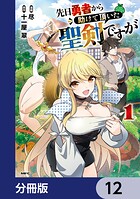 先日勇者から助けて頂いた聖剣ですが【分冊版】 12