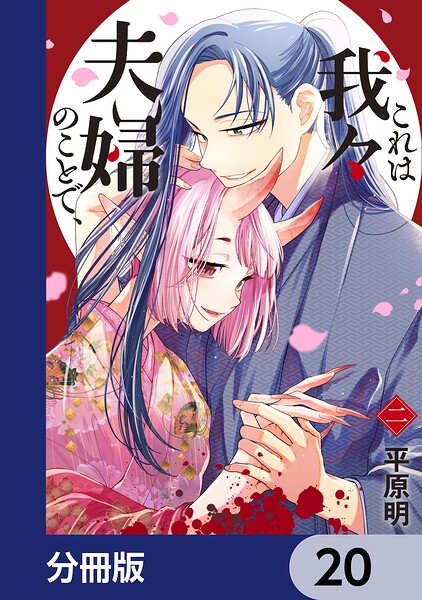 これは我々夫婦のことで、【分冊版】 20
