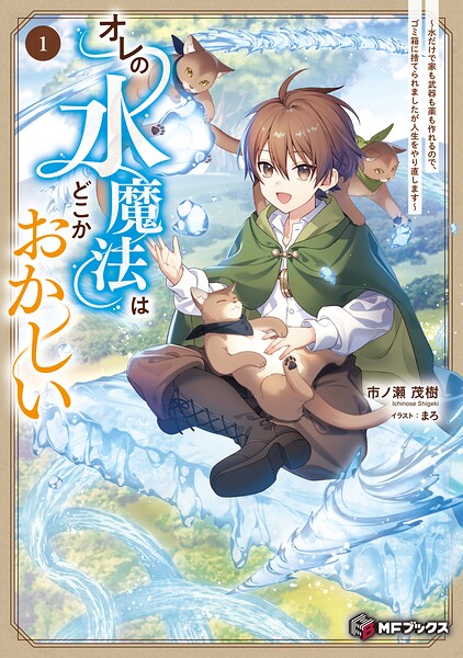 オレの水魔法はどこかおかしい 〜水だけで家も武器も薬も作れるので、ゴミ箱に捨てられましたが人生をやり直します〜