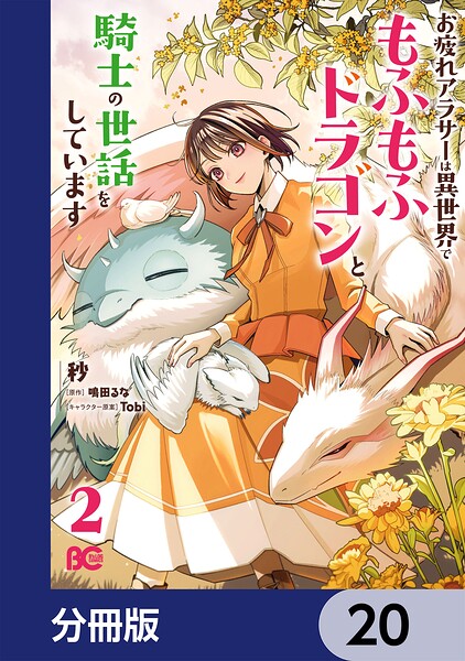 お疲れアラサーは異世界でもふもふドラゴンと騎士の世話をしています【分冊版】 20