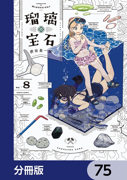 瑠璃の宝石【分冊版】 75