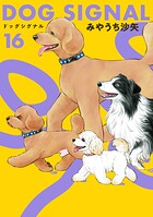 DOG SIGNAL 16