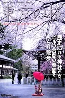 Tokyo Cherry Blossom 東京の桜 〜新宿 中央公園・熊野神社（十二社）〜