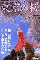 Tokyo Cherry Blossom 東京の桜 〜東京タワー編〜