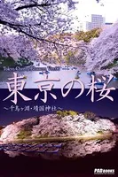 Tokyo Cherry Blossom Ver.06 東京の桜 〜千鳥ヶ淵・靖国神社〜