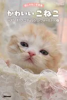 癒しのねこ写真集 かわいいこねこ 〜大好き！ スコティッシュ・フォールド〜 2