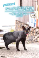 癒しのねこ写真集 のんびり猫島探訪 〜夏めく男木島〜 vol.2