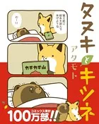 タヌキとキツネシリーズ