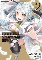 俺が淫魔術で奴隷ハーレムを作る話